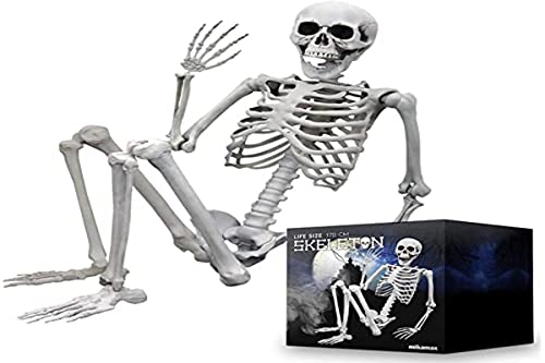 mikamax Lebensgroßes Skelett, 1,70 m, realistisches Design, Halloween-Dekorationsideen, Friedhofsspukknochen. Maße: 170 x 45 cm von mikamax