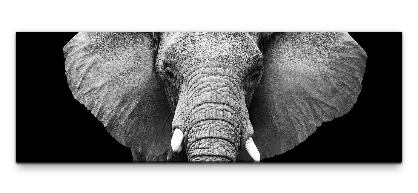 möbel-direkt.de Leinwandbild Bilder XXL Elefantenkopf Wandbild auf Leinwand von möbel-direkt.de