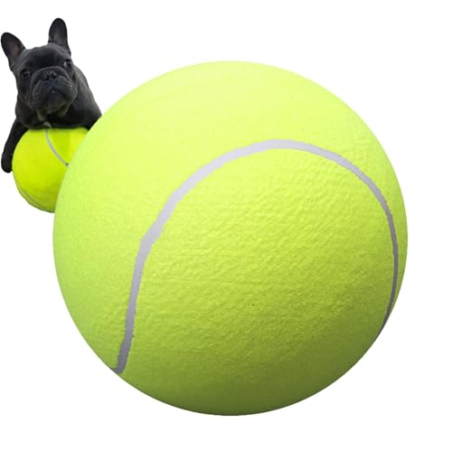 moonyan Hundetennisbälle | Tennisspielplatz-Haustierbälle,Großes Haustierspielzeug, lustiger Outdoor-Sportball für mittelgroße und kleine Katzen, Hunde, Spielplatzspaß von moonyan