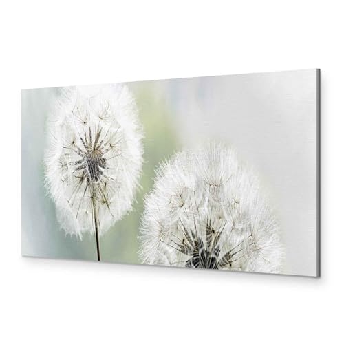 murando - Wandbilder XXL Pusteblume 90x30 cm 1 tlg Wand Deko Leinwand Bilder Groß Wanddeko Wohnzimmer Schlafzimmer Kunstdrucke Panoramabild - Blumen Natur Grau Löwenzahn Grün b-B-0223-b-c von murando