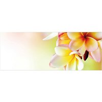 mySPOTTI Badrückwand »Hawaii«, BxH:120 cm x 45 cm, orange von mySPOTTI