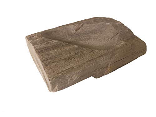mysale24.de Schale Fossiles Holz poliert Indonesien | Handarbeit | für Außen- und Innenbereich | mehrfachverwendbar 1 bis 2 Kg schwer von mysale24.de
