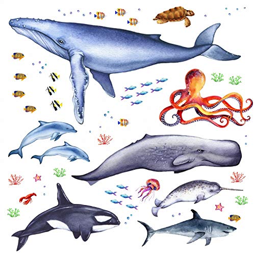 nikima Schönes für Kinder 166 Wandtattoo Tiere der Meere - Blauwal, Hai, Delfin, Orca Größe 1250 x 700 mm von nikima Schönes für Kinder