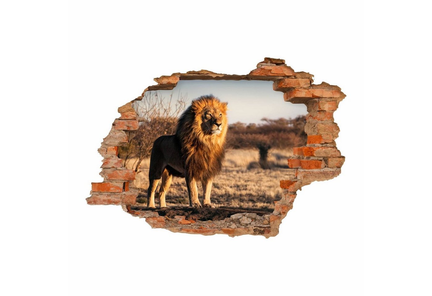 nikima Wandtattoo 103 Löwe Savanne - Loch in der Wand (PVC-Folie), in 6 vers. Größen von nikima