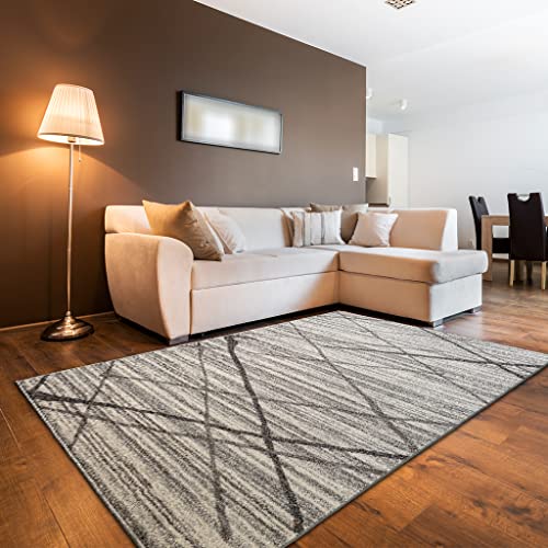 oKu-Tex Designer Teppich, Wohnzimmerteppich Mercur, Flauschiger Frise-Teppich grau meliert, modernes diagonales Design, 160 x 230 cm, Schadstofffrei nach Öko-Tex Standard 100 von oKu-Tex