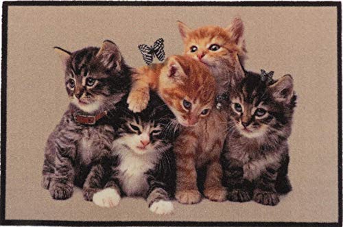oKu-Tex Design Fußmatte Katzen Kätzchen Kitten, lustiges & niedliches Motiv, rutschfest & waschbar, Deko Dekorativ, braun, 40 x 60 cm, Kleine Katzen von oKu-Tex