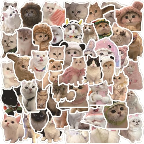 simyron Kawaii Katzen Aufkleber 60 Stück Lustige Katzen Aufkleber Wasserfeste Aufkleber Meme Aufkleber Set für Katzenliebhaber Koffer Skateboard Laptop Helm Auto Kühlschrank von simyron