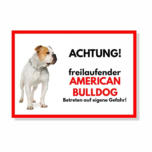 American Bulldog Freilaufender Hund Dog Schild Spruch Türschild Hundeschild Warnschild von siviwonder