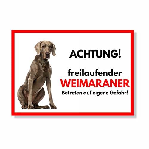 Weimaraner Freilaufender Hund Dog Schild Spruch Türschild Hundeschild Warnschild von siviwonder