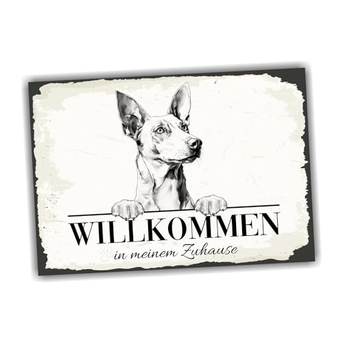 siviwonder Hundeschild Willkommen Zuhause Podenco Ibicenco No.1 Dog Schild Spruch Türschild Warnschild von siviwonder
