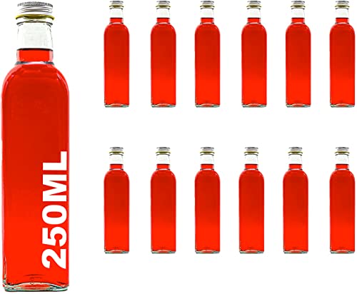 slkfactory casavetro 12 Leere Glasflaschen 250 ml MAR Flaschen mit Verschluss kleine Likörflaschen Schnapsflaschen Saftflaschen Flasche zum selbst abfüllen Nr. 200 von slkfactory