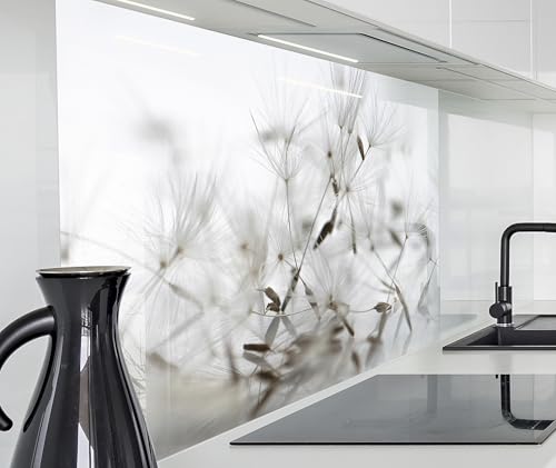 timalo Spritzschutz Wand für Herd, Küche Küchenrückwand Glasoptik | Acryl Glas 2mm | Glasrückwand Acrylglas Wandpaneele Rückwandschutz Platte | 100x50cm Löwenzahn von timalo