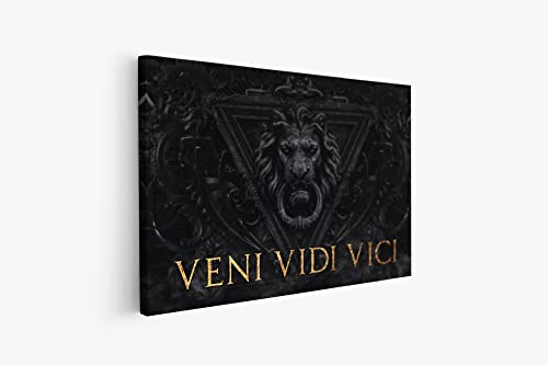 tradercat XXL Motivation-Wandbild - veni vidi vici - Poster für Erfolg und Fitness, Leinwand und Poster komplett und aufhängefertig (30 x 40 cm) von tradercat