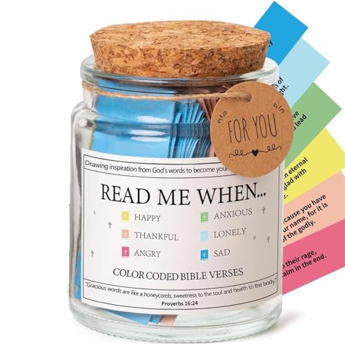 Bible Verses in a Jar,Glass Scripture Prayer Jar with Coloring Bible Verse,Christian Gifts Church Biblical Faith Based Valentines Gift,Read Me When Bible Verses Jar for Emotions and Feelings (1PC) von vokkrv