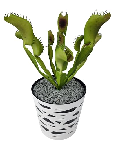 vonlu Deko Kunstpflanze, Fleischfressende Pflanze groß, 20cm, flexibel, Venus Fliegen Falle, Deko für Wohnzimmer oder Gaming Tisch von vonlu