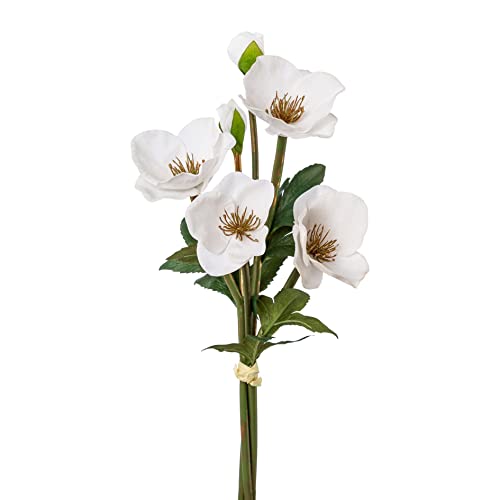 Kunstblume Christrosenbund Velvet, 3er Set, Farbe weiß, Höhe ca. 40 cm von wohnfuehlidee