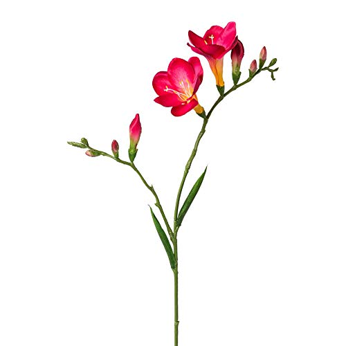 wohnfuehlidee Kunstblume Freesie, 3er Set, Farbe Fuchsia, Höhe ca. 68 cm von wohnfuehlidee