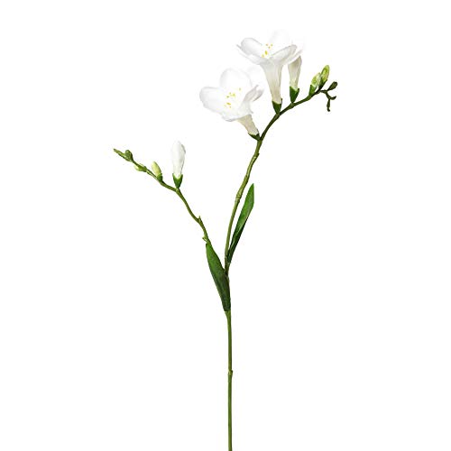 wohnfuehlidee Kunstblume Freesie, 3er Set, Farbe weiß, Höhe ca. 68 cm von wohnfuehlidee