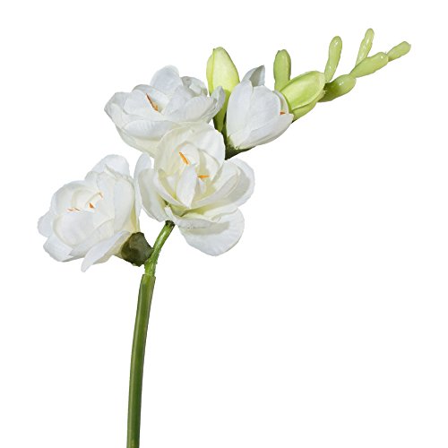 wohnfuehlidee Kunstblume Freesie, 5er Set, Farbe weiß, Höhe ca. 50 cm von wohnfuehlidee