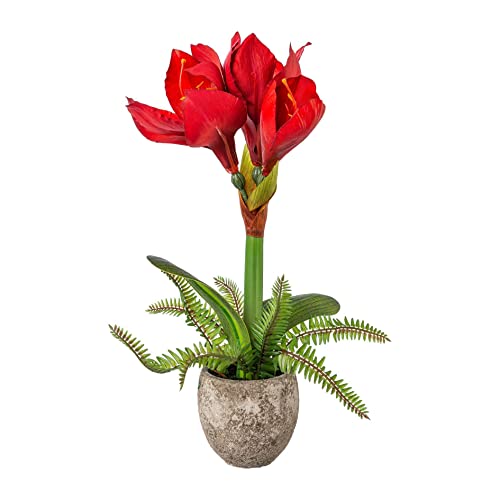 wohnfuehlidee Kunstpflanze Amaryllis, Farbe rot, inkl. Zement-Topf, Höhe ca. 35 cm von wohnfuehlidee