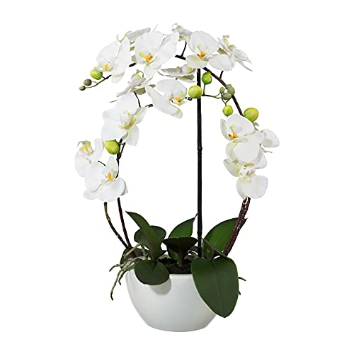 wohnfuehlidee Kunstpflanze Orchidee Phalenopsis, weiß, mit Deko-Keramik-Schale, Kunstblume Höhe 52 cm, Künstliche Orchidee im Topf von wohnfuehlidee