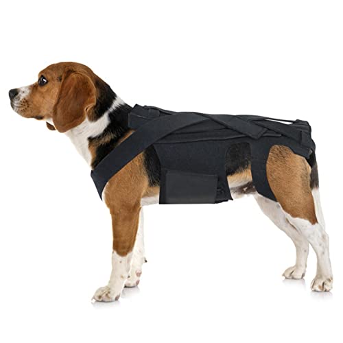 Atmungsaktive Rückenbandage für Hunde – atmungsaktive Haustier-Rückenbandage für IVDD, Haustier-Rückenbandage für IVDD, Rückenprotektor Znet-au von EELHOE