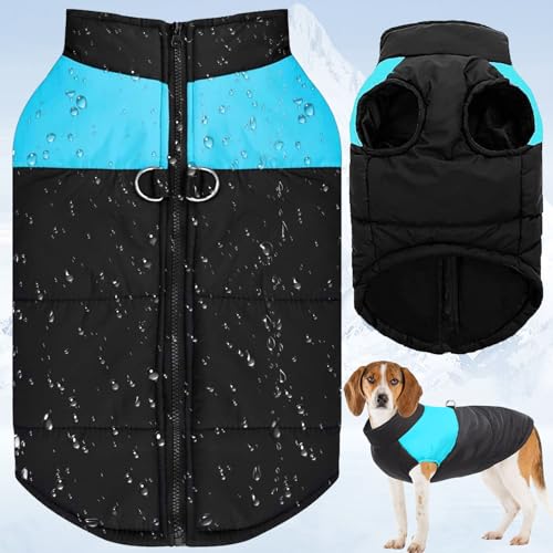 Hundemantel für Kleine Hunde, Wintermantel Hund, Hundemantel, Hunde Jacken Winter, Hundemantel Mit Bauchschutz, Mit Sicherheitsloch für Kleine und Mittelgroße Hunde Geeignet von 通用