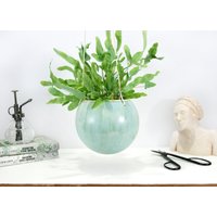 Mini Keramik Pflanzer Innen | Wandpflanzgefäß Moderner Sukkulenten Kaktus Blumentopf Wohnkultur Geschenk von 10FingersArt