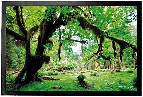 1art1 Wälder Grüner Wald, Zurück Zur Natur Fußmatte Dekomatte Innenbereich | Design Türmatte 60x40 cm von 1art1