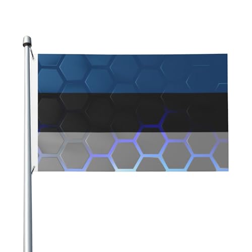 Premium Flagge Flagge Estlands Banner Weatherproof Pride Flag Diverse Parade Flag Für Balkon, Hauswanddekoration, Bauernhof, 90X150cm von 351