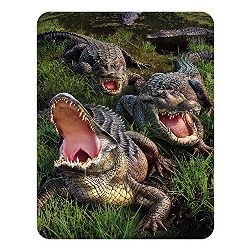 3D LiveLife Magnet - Alligator Bog von Deluxebase. Linsenförmige 3D Alligator Kühlschrankmagnet. Dekoration für Kinder und Erwachsene mit Kunstwerk lizenziert von bekannt Künstler, Jerry LoFaro von 3D LiveLife