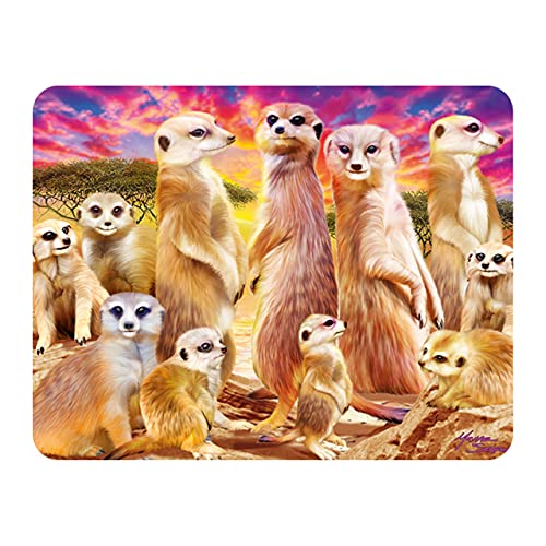 3D LiveLife Magnet - Coole Erdmännchen von Deluxebase. Linsenförmige 3D Safari Kühlschrankmagnet. Dekoration für Kinder und Erwachsene mit Kunstwerk lizenziert von bekannt Künstler, Michael Searle von 3D LiveLife