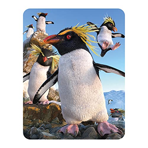 3D LiveLife Magnet - Felsenpinguin von Deluxebase. Linsenförmige 3D Pinguin Kühlschrankmagnet. Dekoration für Kinder und Erwachsene mit Kunstwerk lizenziert von bekannt Künstler, David Penfound von 3D LiveLife