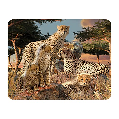 3D LiveLife Magnet - Geparden Klan von Deluxebase. Linsenförmige 3D Große Katze Kühlschrankmagnet. Dekoration für Kinder und Erwachsene mit Kunstwerk lizenziert von bekannt Künstler, David Penfound von 3D LiveLife