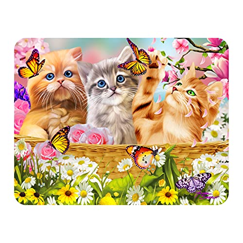 3D LiveLife Magnet - Kätzchen Spaß Zeit von Deluxebase. Linsenförmige 3D Katze Kühlschrankmagnet. Dekoration für Kinder und Erwachsene mit Kunstwerk lizenziert von bekannt Künstler, Michael Searle von 3D LiveLife