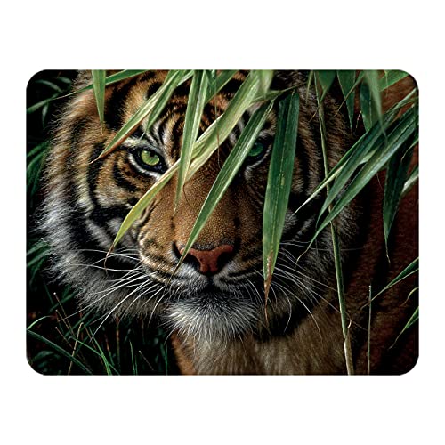 3D LiveLife Magnet - Smaragdwald von Deluxebase. Linsenförmige 3D Tiger Kühlschrankmagnet. Dekoration für Kinder und Erwachsene mit Kunstwerk lizenziert von bekannt Künstler, Collin Bogle von 3D LiveLife