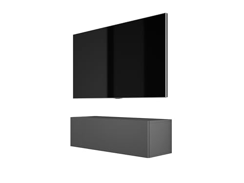 3E 3xE living.com Hängendes TV-Schrank (B: 100 cm, H: 34 cm, T: 32 cm) Lowboard, TV Board, Fernsehschrank in ANTHRAZIT von 3E 3xE living.com