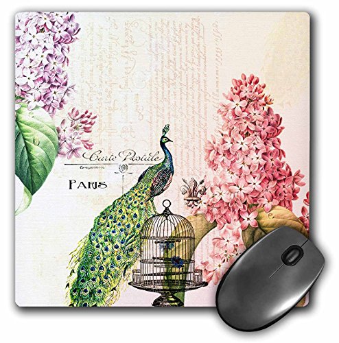 3dRose mp_110312_1 Mauspad, Motiv Paris Pfau mit Hortensien, 20,3 x 20,3 cm von 3dRose