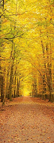 A.Monamour Türtapete Selbstklebend Türfolie Türposter 3D Herbstwald Gelb Verlässt Bäume Parkweg Naturlandschaft Vinyl Folie Türdeko Tapete Wandbild Türaufkleber Türtattoo 90 x 200 cm von A.Monamour