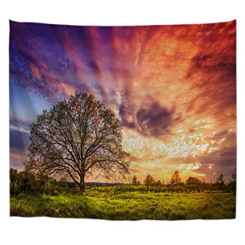 A.Monamour Wanddekor Wandteppiche Bewölktem Himmel Frühling Sonnenaufgang Über Ländlichen Wiese Baum Natur Landschaft Fotografie Bild Stoff Wandbehang Tapisserie Wandbild Dekore von A.Monamour