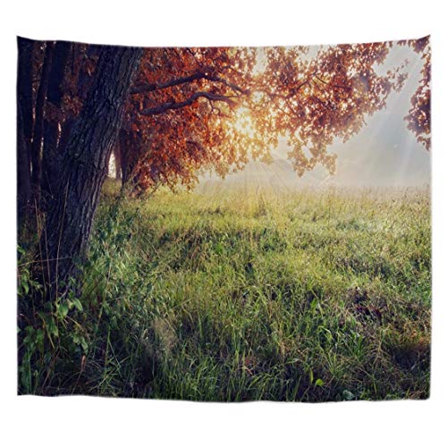 A.Monamour Wanddekor Wandteppiche Grüne Wiese Land Großen Baum Sonnen Herbst Natur Landschaft Stoff Wand Hängen Tapisserie Wandbild Dekore Wohnheim Teiler Für College 203x153cm von A.Monamour