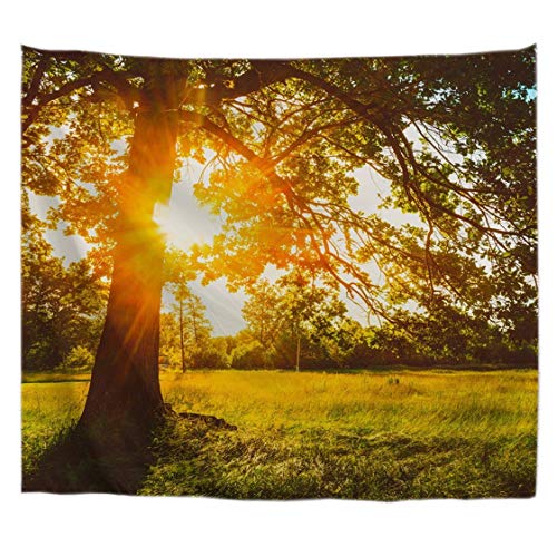 A.Monamour Wanddekor Wandteppiche Sommer Sonnenuntergang Zeit Sonnen Durch Wald Baum Grün Gras Natur Landschaft Bild Hintergründe Stoff Wand Tapisserie Wandbehänge Strandtücher Yoga Decken von A.Monamour