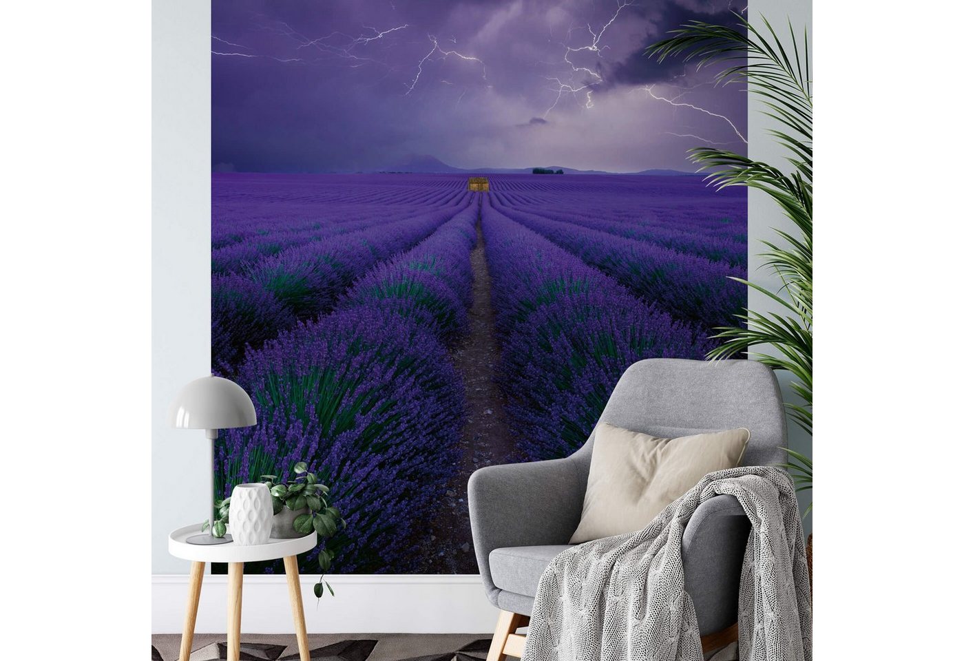 A.S. Création Fototapete, Vlies Foto Tapete Lavendel Field Lavender DD119090 Natur Designwall von A.S. Création