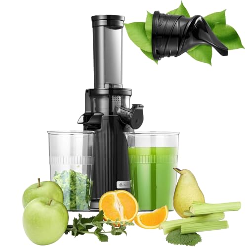 Entsafter AOBOSI-Mini slow juicer mit Rückwärts-Kau-Funktion-saftpresse elektrisch mit Bürste und 2 Tassen- Multifunktions obstpresse-elektrische Fruchtpresse. (45 MM,Schwarz) von AAOBOSI