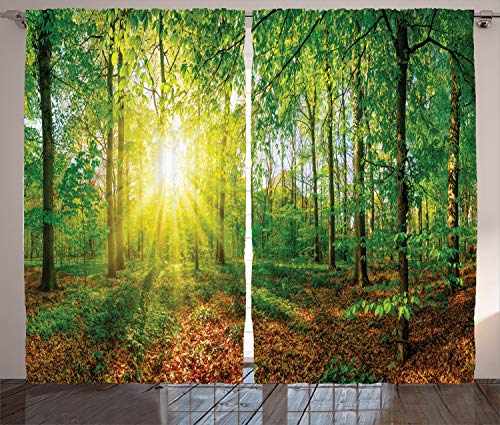 ABAKUHAUS Natur Rustikaler Gardine, Abendwiese Grönland, Schlafzimmer Kräuselband Vorhang mit Schlaufen und Haken, 280 x 245 cm, Braun Grün von ABAKUHAUS