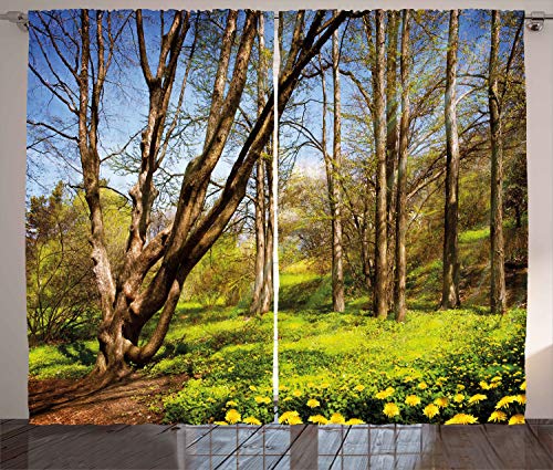 ABAKUHAUS Natur Rustikaler Gardine, Frühlingswaldblumen, Schlafzimmer Kräuselband Vorhang mit Schlaufen und Haken, 280 x 260 cm, Braun Blau von ABAKUHAUS