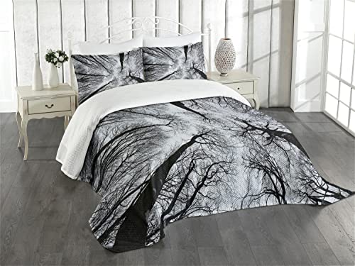 ABAKUHAUS Wald Tagesdecke Set, Dunkler Winterwald Baum, Set mit Kissenbezügen Sommerdecke, für Doppelbetten 220 x 220 cm, Schwarz Grau von ABAKUHAUS