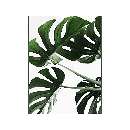 ABCWARRT Grüne Pflanze Malerei Monstera Poster Wandkunst Leinwand Bild Nordic Blätter Kaktus Poster Für Wohnzimmer Schlafzimmer Wohnkultur (30 * 40cm Kein Rahmen,7) von ABCWARRT