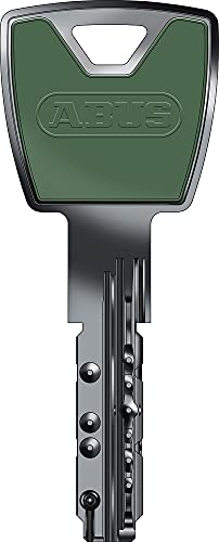 ABUS XP20S Ersatzschlüssel mit Design-Clip resedagrün von ABUS