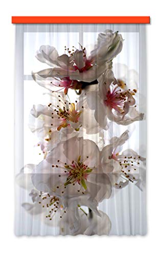 Gardine/Vorhang FCS L 7506, Blumen, 140 x 245 cm, 1 teil" von AG Design